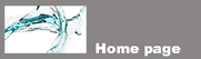 homepage